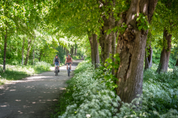 high-mark-cycling-route-alley-stratmann-04329 high-mark-cycling-route-alley-stratmann-04329