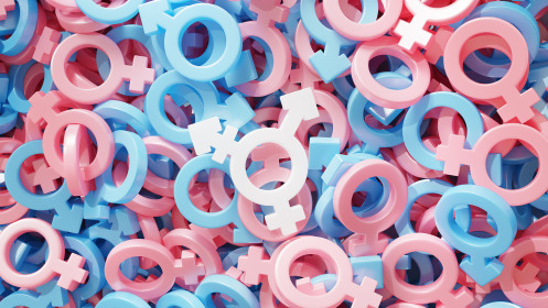 transgender transgender