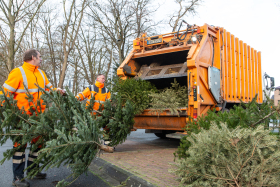 The ESB collects the discarded Christmas trees from Friday