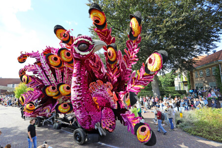 324077P Flower Parade Winner 2025