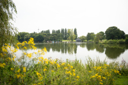  Swimming in the Aasee is no longer permitted with immediate effect. 