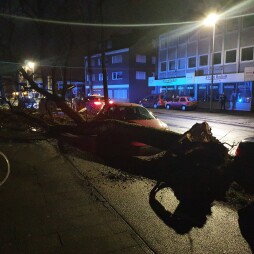  Lime tree crashes into car on Dinxperloer Straße in Bocholt 