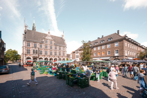 Historisches Rathaus und Wochenmarkt (ML)