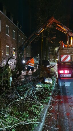  ESB verwijdert omgevallen lindeboom in de Dinxperloer Straße in Bocholt. 