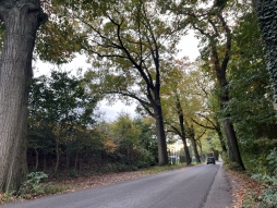  De Alffstrasse wordt ontruimd. 