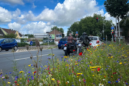 Bunte Pflanzen in der Innenstadt