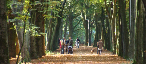 Bocholt_Tourismus_Freizeit_Stadtwald_wiener allee_2013_Foto Volmering